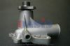 FORD 5009287 Water Pump